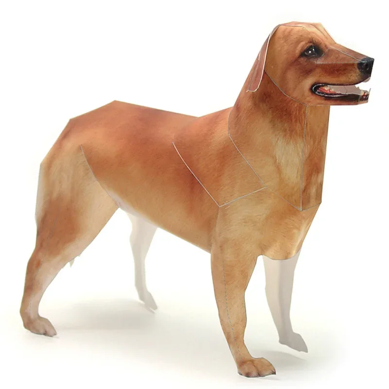 Art Craft With Cardboard - Golden Retriever Dog Paper Model Realistic