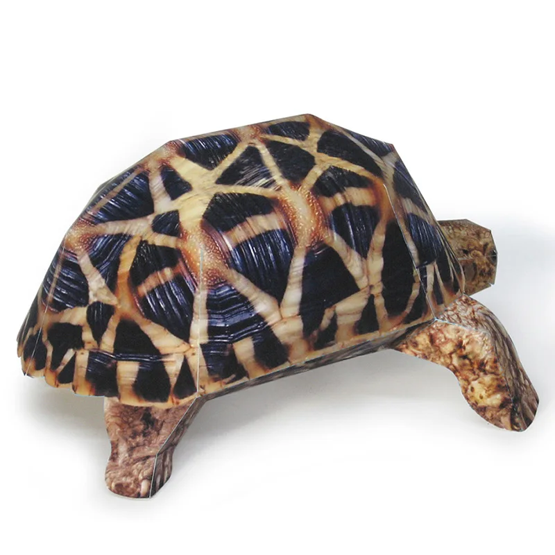 Indian Star Tortoise Paper Mod - đánh giá và giá Art Craft With Cardboard